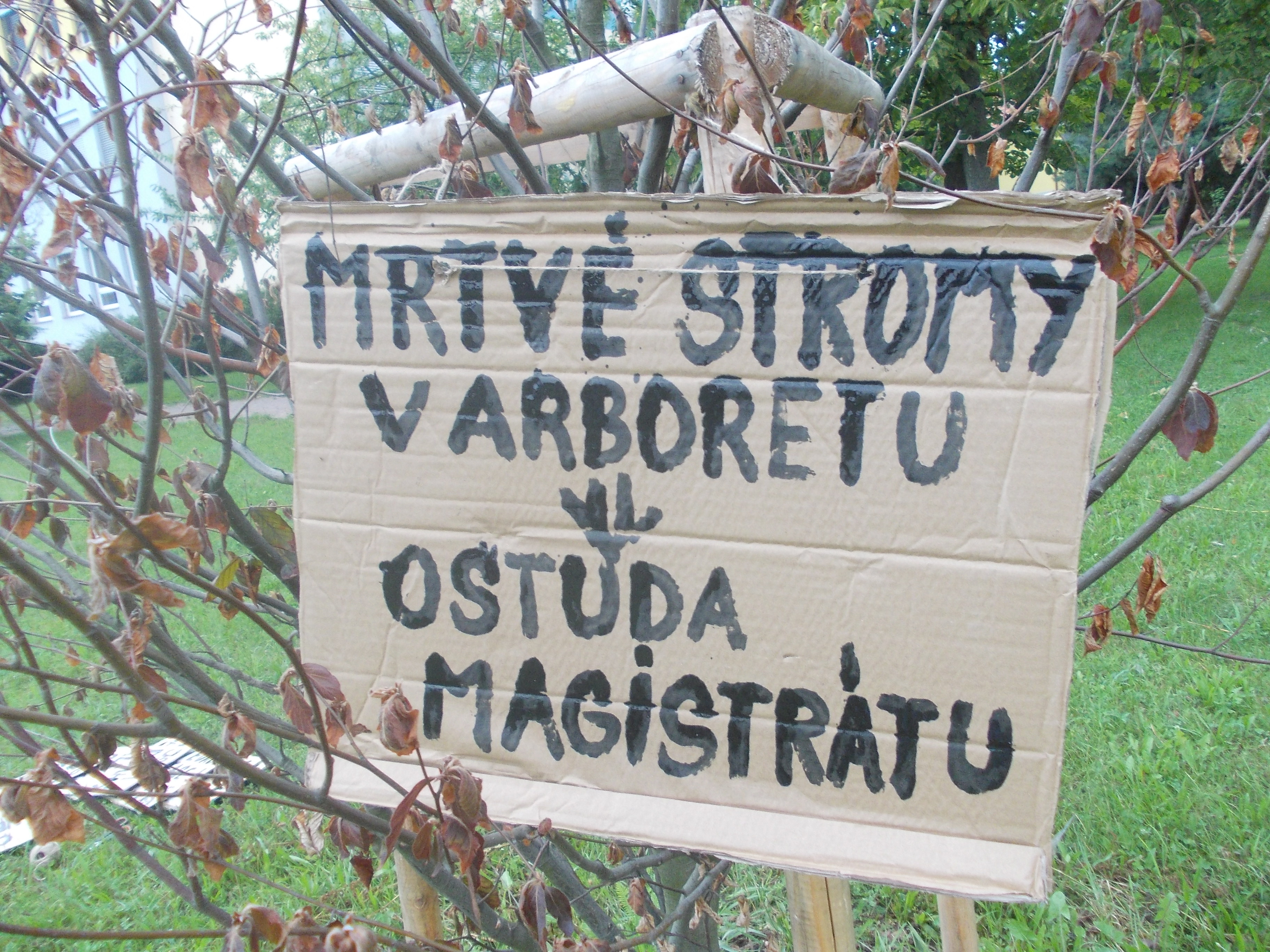 Obnova arboreta – ostuda města